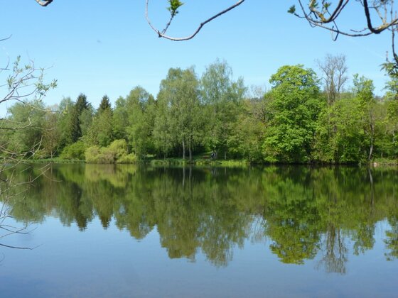 Wandern um den Stadtweiher