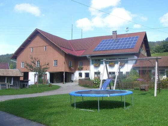 Hof, Trampolin, Schaukel