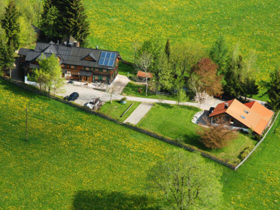 Eschach 111 im Sommer