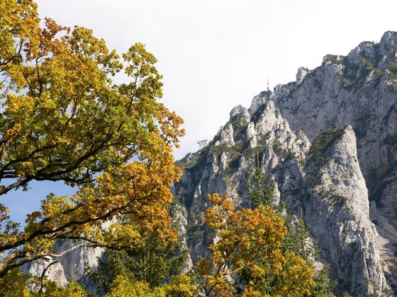 Rauschberg im Herbst