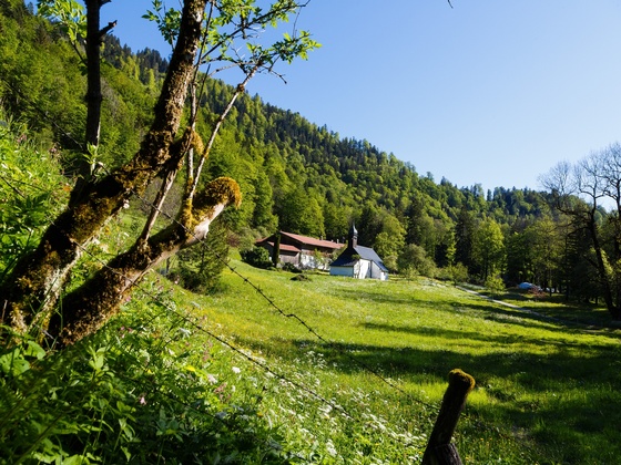 NQ8A0032_HochfellnRunde