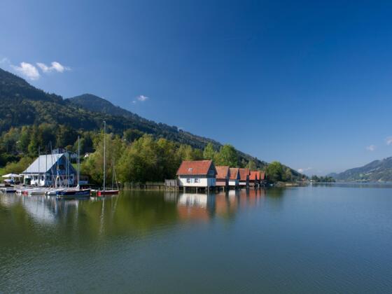 Großer Alpsee