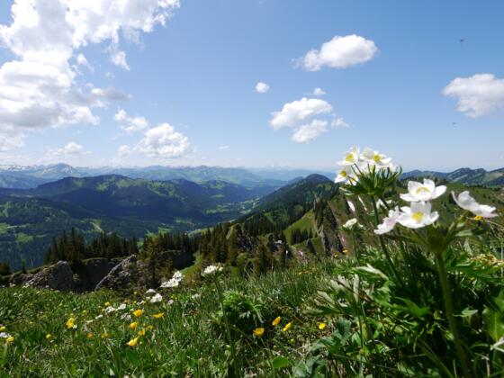 Ausblick vom Siplinger Kopf
