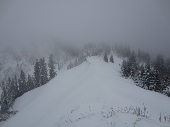 Gröhrkopf (1.562 m)