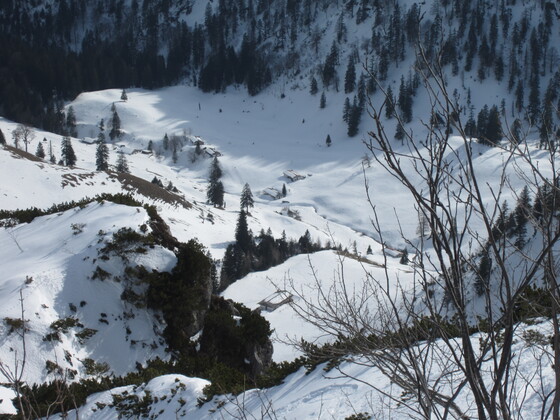 Almgelände Thoraualm