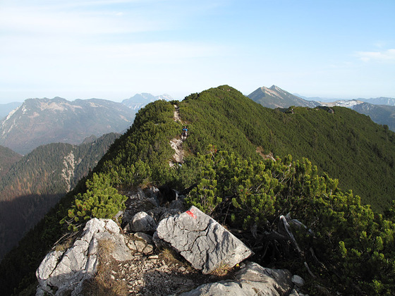 Dürrnbachhorn (1776 m)