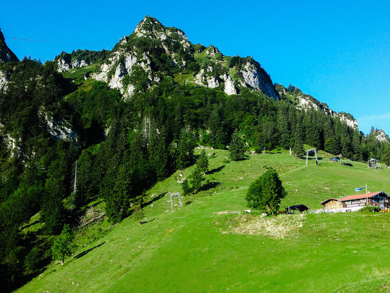 Bründlingalm mit Aufstieg zum Hochfelln