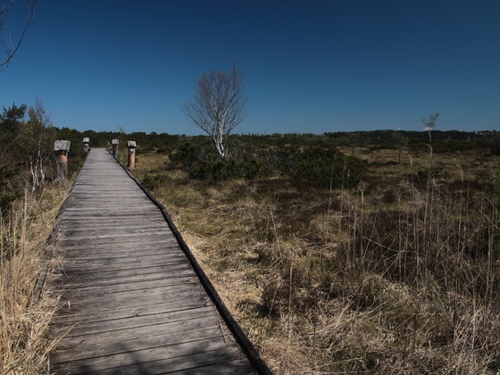 Weg zur Aussichtsplattform