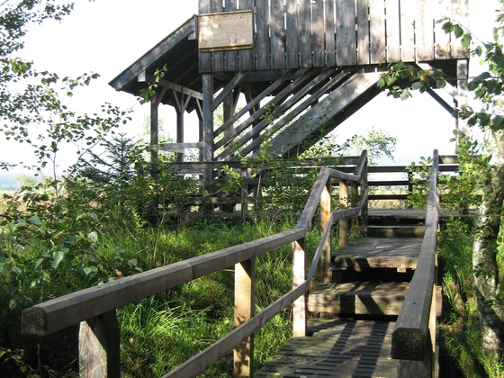 Aussichtsturm im Moor
