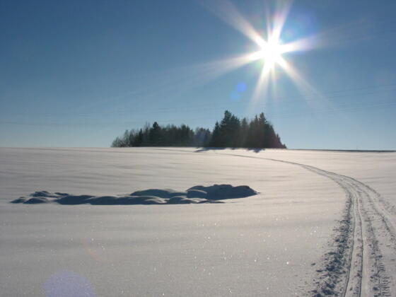 Loipen in Neustift ob der Donau