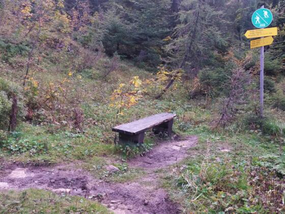 Alte Ruhebank zwischen den beiden Lichtungen auf dem Weg zum Straubinger Haus.