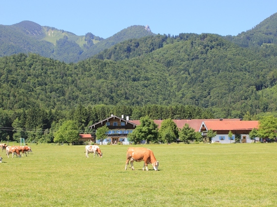Großrachlhof Grassau/Chiemgau