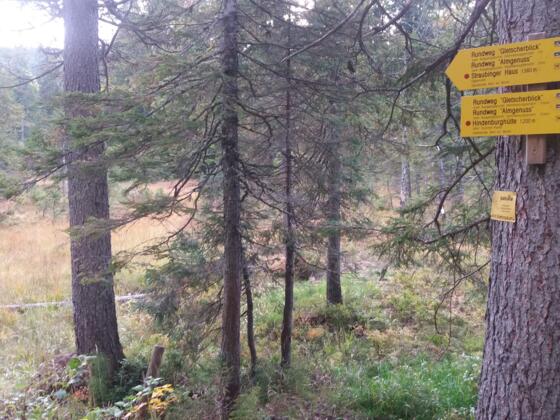 Wegweiser Gletscherrundblick / Almgenuss auf der unteren Lichtung.