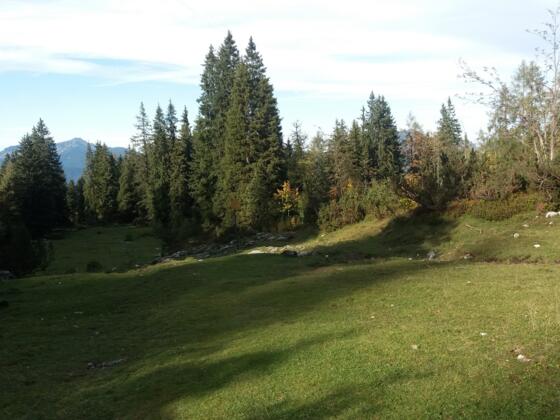 Große &quot;Skitouren-&quot; Lichtung, Blickrichtung Nord (vom Parkplatz kommend).