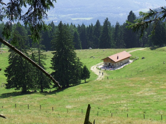 Die Naderbauern-Alm vom Großstaffen aus gesehen