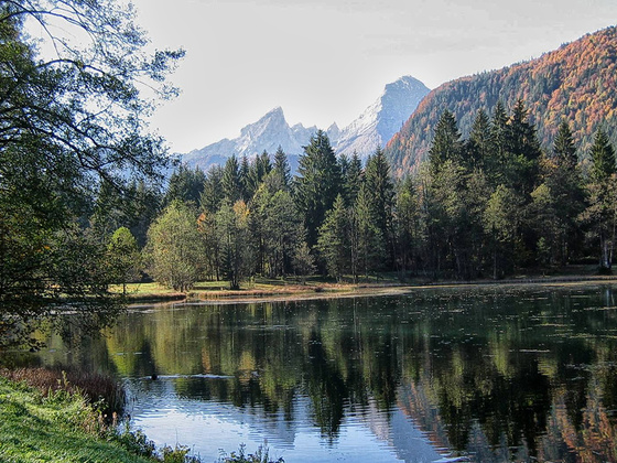 Der Böcklweiher: Einer der schönsten Weiher überhaupt