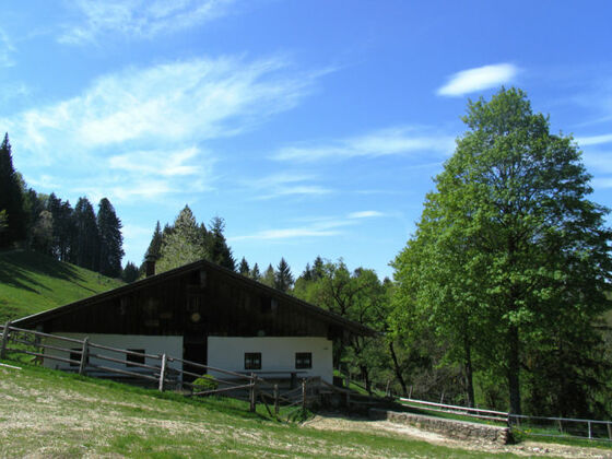 Herrenalm - © Chiemsee-Alpenland Tourismus