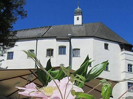 Im Vordergrund rosa Blüten. Im Hintergrund ragt das Ameranger Schloss gegen einen wolkenlos blauen Himmel.