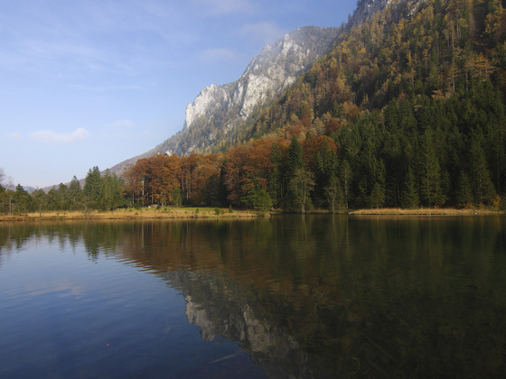 inzell falkensee