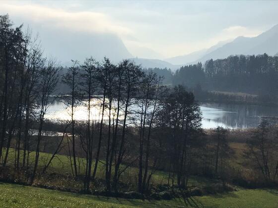 Bärnsee Joggingrunde