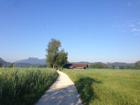Große Bernauer Joggingrunde - Chiemseerundweg