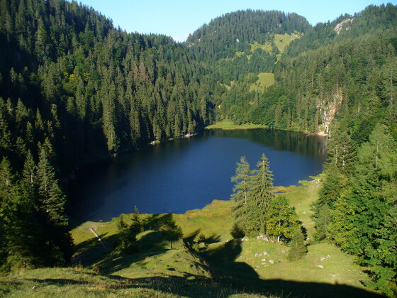 Taubensee