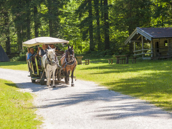 Pferdekutschfahrten Franken