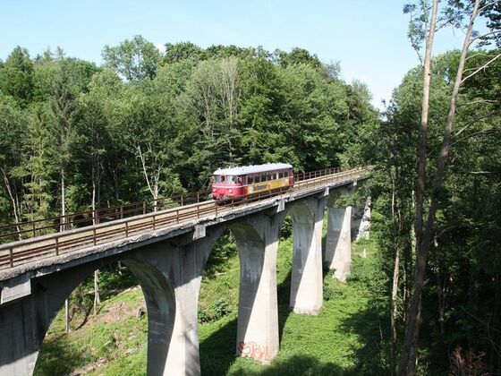 Triebwagen auf Ameranger Viadukt