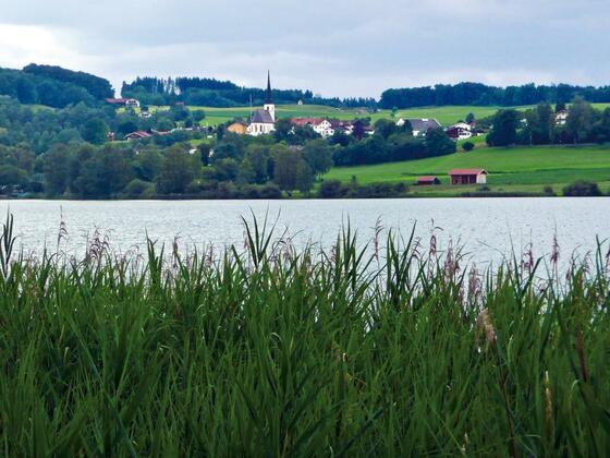 Wunderschöne Seeblicke vom Ostufer