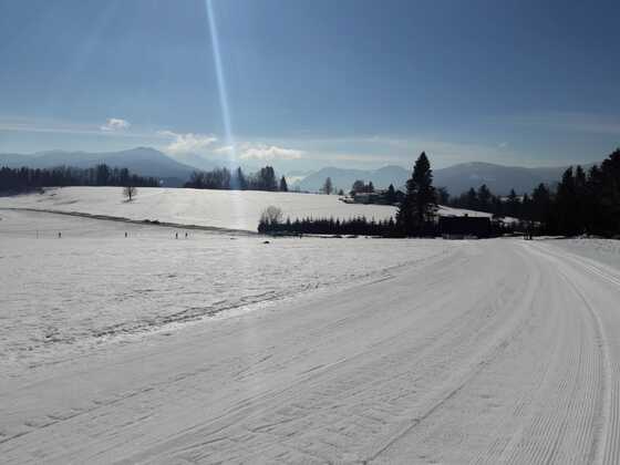 Toni Angerer Loipe Siegsdorf