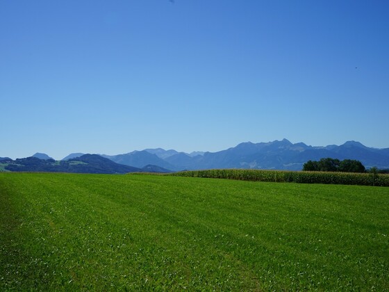 Blick auf die Bayerischen Alpen von Petzgersdorf