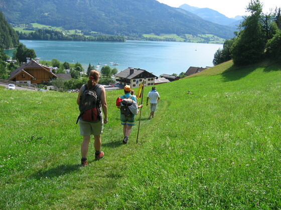 Abstieg zum Wolfgangsee