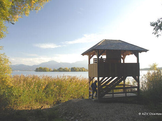 Beobachtungsturm Ganszipfel in Gstadt.