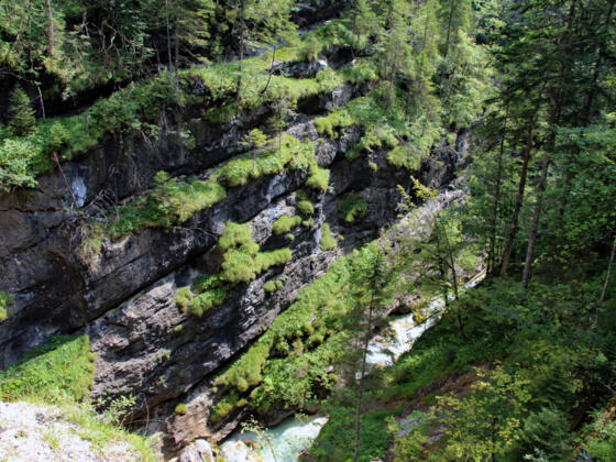 Die Raibler Kalke der Hinterklamm
