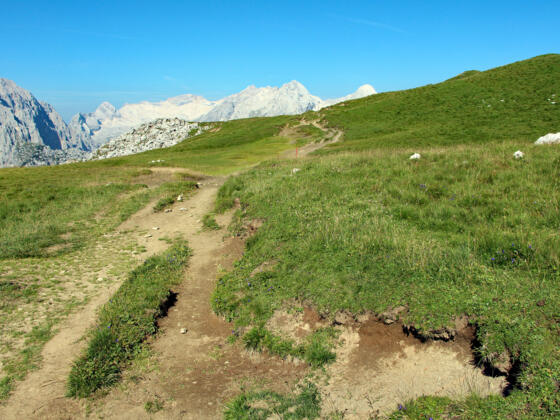 Grüne Wiesen trotzen der sonst kargen Kalksteinlandschaft 
