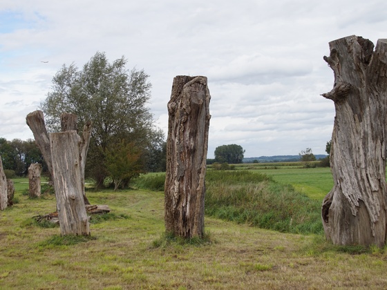 Totholzareal Eichenkofen