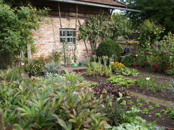 Bauerngarten im Bauernhausmuseum 