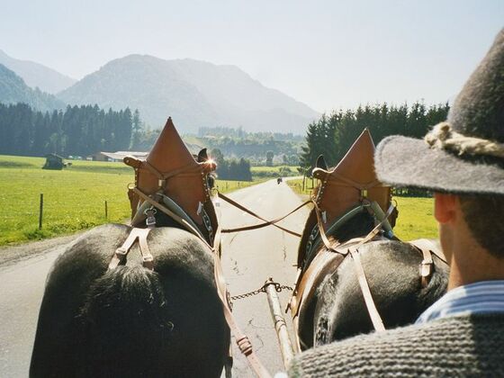 Kutschenfahrt mit Bergblick