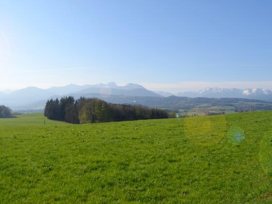 ib_aussichtspunkt_panorama_fruehling_fl-1