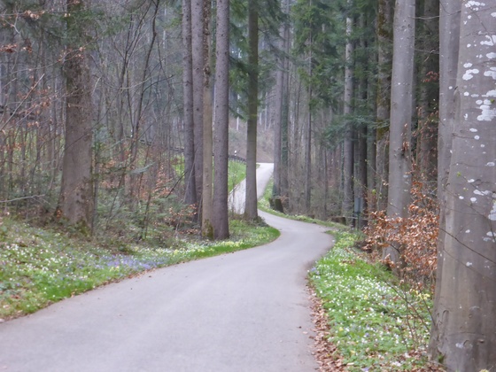 100 Meter , 7 % Steigung