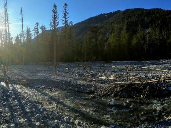 Das Bachbett der Friederlaine im Friedergrieß