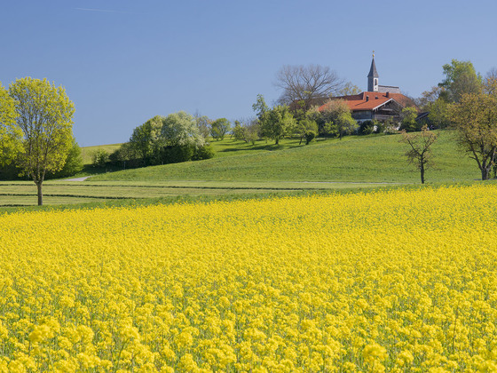 Roha Fotothek Fürmann - Blick auf Steinhögl
