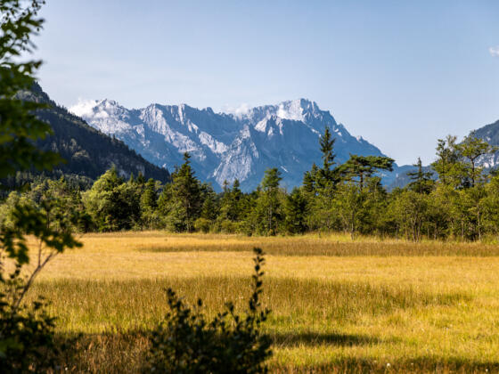 Traumhafter Zugspitzblick zwischen Eschenlohe und Garmisch