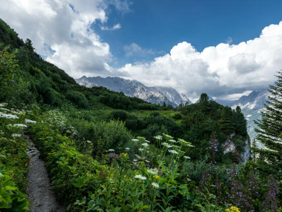 Oberes Reintal mit Pflanzenvielfalt