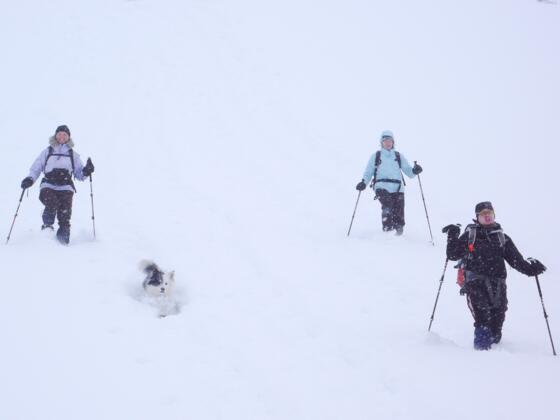 Im Abstieg kurz unterhalb vom Schachen