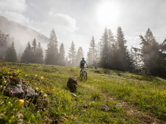 Mountainbiketour in der Zugspitz Arena Bayern-Tirol