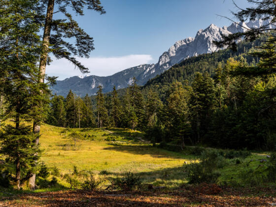Lichtung mit Blick Zugspitzmassiv
