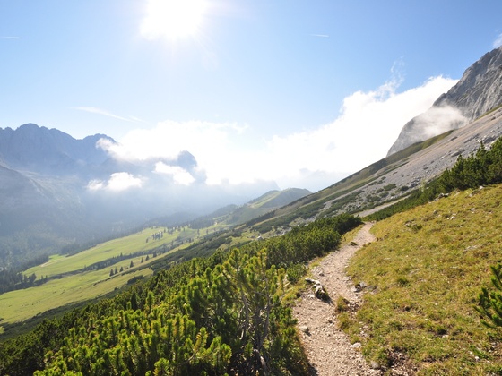 Immer der Sonne entgegen - da lacht das Herz
