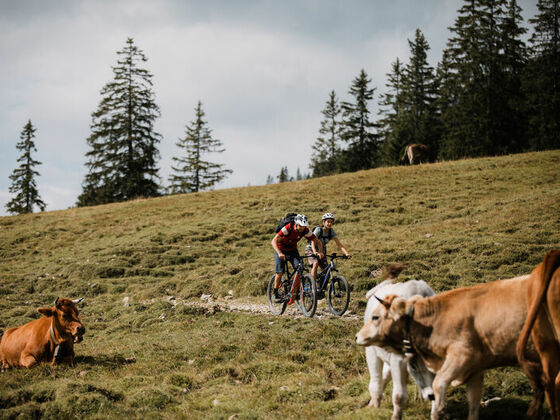 Mountainbiketour in der Zugspitz Arena Bayern-Tirol