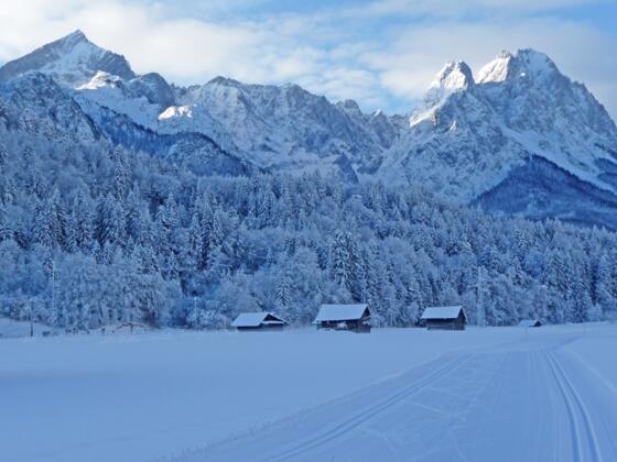 Loipen in Garmisch-Partenkirchen mit Blick auf das Zugspitzgebiet